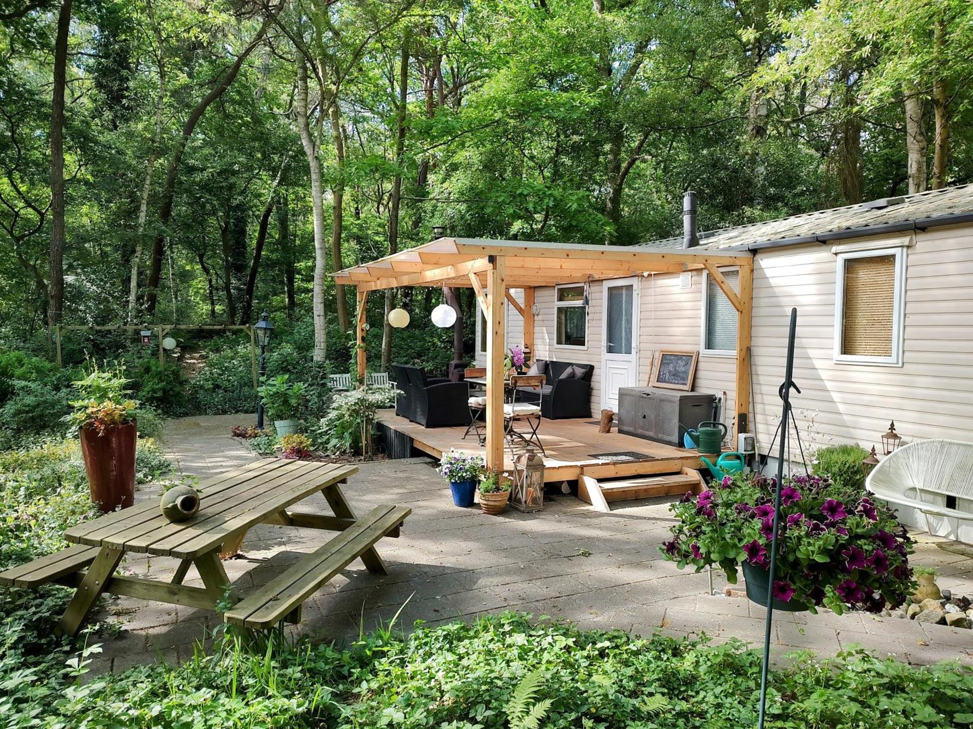 Chalet Met Veranda Aan Bosrand Vledder Exterior photo
