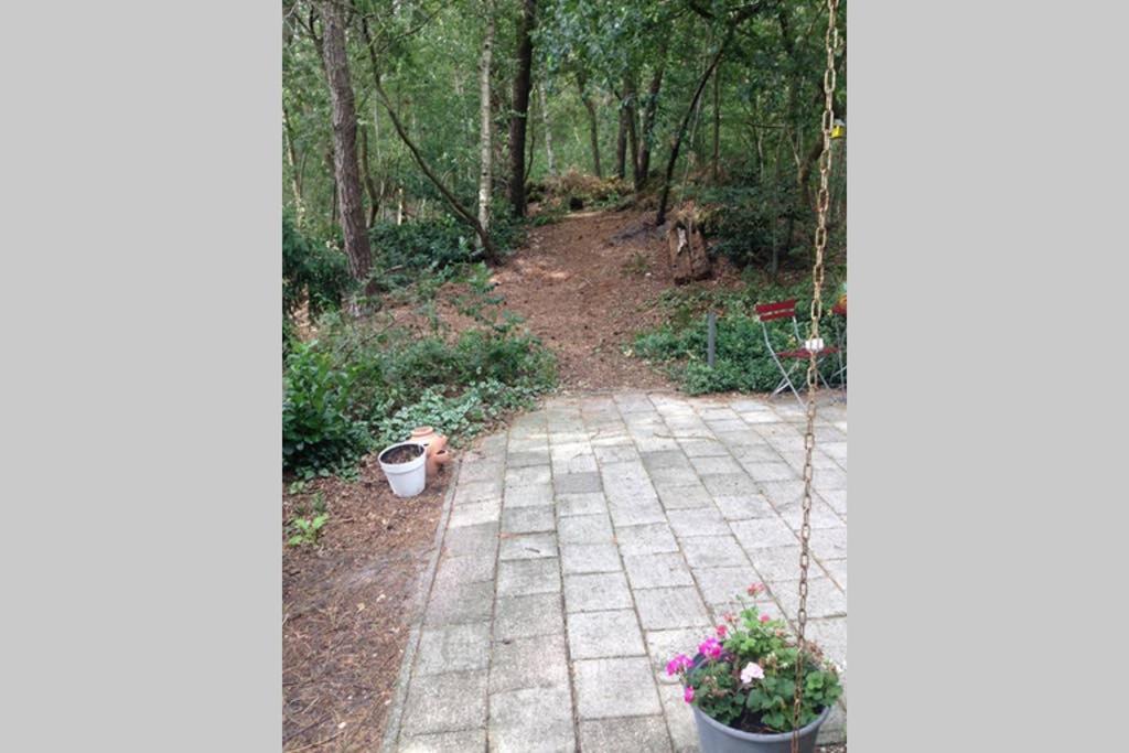 Chalet Met Veranda Aan Bosrand Vledder Exterior photo