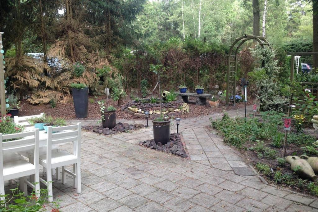Chalet Met Veranda Aan Bosrand Vledder Exterior photo